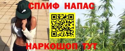 ГАЛЛЮЦИНОГЕННЫЕ ГРИБЫ Берёзовский