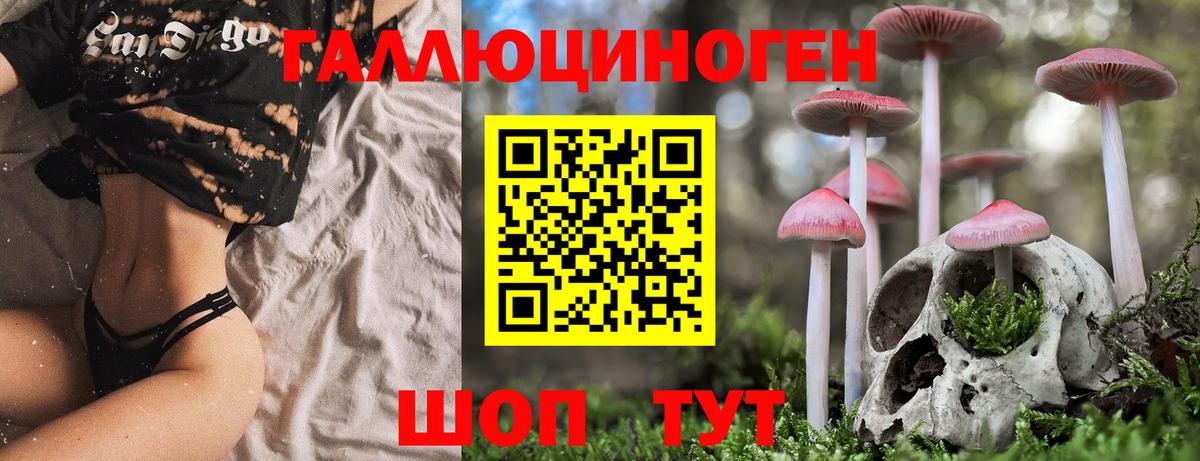 Галлюциногенные грибы Psilocybine cubensis Ирбит